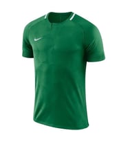 Nike 893964 M Dry Chalng Iı Jsy Ss T-shirt (Yeşil)