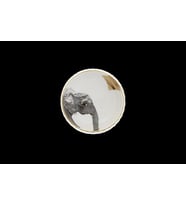 Porland Wild Life Elephant Kase 10cm