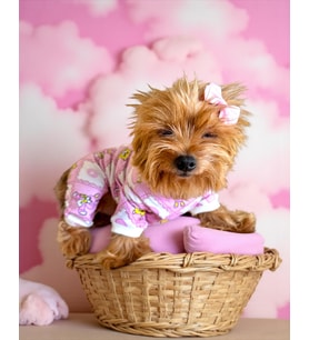 Teddy Toad Penye Köpek Tulum Pijama (Pembe)
