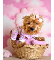 Teddy Toad Penye Köpek Tulum Pijama (Pembe)