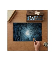 Ormanda Gece - Manzara Tasarımı 240 parça Ahşap Puzzle Ahşap Kutuda MP02080