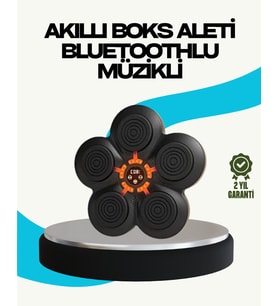 Ev Tipi Akıllı Boks Duvar Paneli Müzikli Bluetoothlu Refleks Geliştirme Cihazı