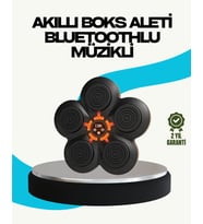 Ev Tipi Akıllı Boks Duvar Paneli Müzikli Bluetoothlu Refleks Geliştirme Cihazı