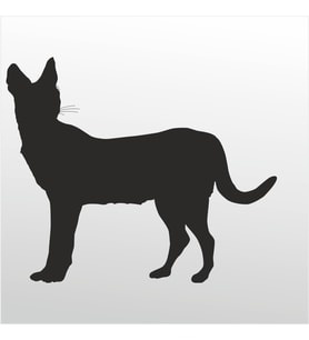 Folyo Sticker Kedi 20cm uzunluk (Karışık)