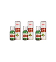 Balen At Kestanesi Yağı (Soğuk Pres) 20 ml 3 Adet