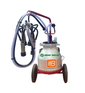 Bartech C20 Kuru Sistem Tek Sağım 20 lt Krom Güğüm Süt Sağım Makinası