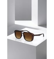Polo Air UV400 Korumalı Yaylı Sap Erkek Güneş Gözlüğü Kahverengi Renk PLG-2138C2