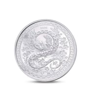 AgaKulche Yılan Figürlü Gümüş Sikke Coin