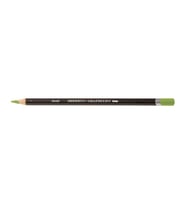 Derwent Graphitint Suda Çözünebilen Renkli Çizim Kalemi 10 Meadow 