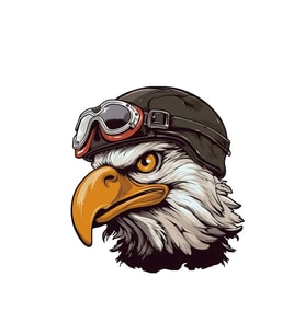Pilot Kartal sticker Araba, Motorsiklet, AraçEtiket Cam Sticker 19CM