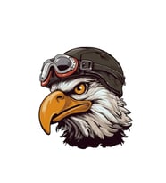 Pilot Kartal sticker Araba, Motorsiklet, AraçEtiket Cam Sticker 19CM