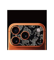 iPhone 17 Pro Tam Kaplayan Kamera Çerçeve Koruyucu Desenli Baskılı - TIGER