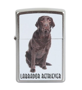 Zippo Çakmak Labrador Retriever