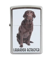 Zippo Çakmak Labrador Retriever