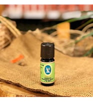 Nuka Ökaliptus Yağı 10 ml / Glob. %85 - Damıtma (Organik - Fransa)