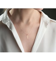 Kişiye Özel Melek Kanadı Model Kolye 925K Gümüş (Gold)