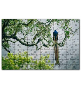 Cakapuzzle Ağaç Dalındaki Hint Tavuskuşu Puzzle Yapboz MDF (Ahşap) (120 Parça)