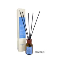 ORTAM KOKUSU OKYANUS 50 ML