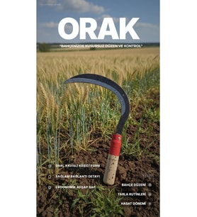 Ahşap Saplı Karbon Çelik Bahçe Orağı 30 cm, Oval Kesici, Ot Temizliği & Hasat Ekin Bıçağı