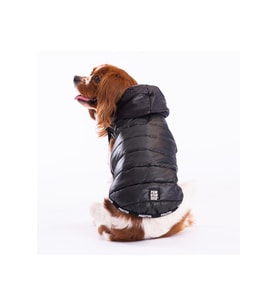 Pawstar Köpek Siyah Railway Yelek 2XLarge Sırt43cm Göğüs58cm Boyun38cm