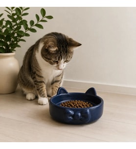 Papyon Model Beton Kedi Köpek Mama ve Su Kabı 16 cm çap - Lacivert