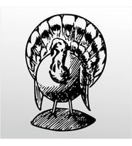 Folyo Sticker Hindi 50cm Uzunluk (Karışık)
