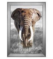 Hayvanlar Temalı Kanvas Tablo 80 x 110 cm Silver Çerçeve