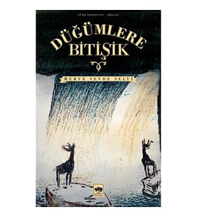 Düğümlere Bitişik