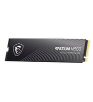 MSI 2TB SPATIUM M560 10300- 8700 MB/s M2 NVME GEN5 DİSK