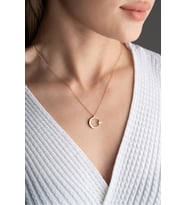 925 Ayar Gümüş Rose Ayyıldız Kolye
