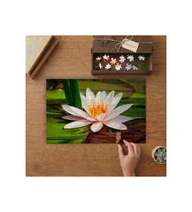 Pembe Turuncu Lotus Çiçeği Tasarımı 240 parça Ahşap Puzzle Ahşap Kutuda MP00518