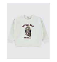 Civil Girls Kız Çocuk Sweatshirt 2-5 Yaş Ekru (Ekru)