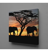 FİLLER KANVAS TABLO 150x150cm