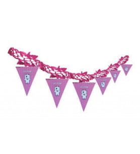 FLAMA İLK DİŞİM PEMBE  PK:1SET-