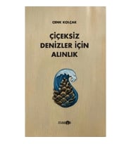 Çiçeksiz Denizler İçin Alınlık