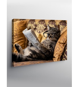 Kanvas Tablo Gazete Okuyan Kedi