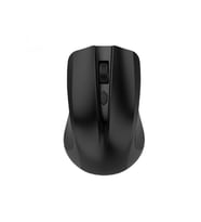Blic BWM5 Kablosuz Mouse