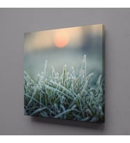 BUĞDAY BAŞAKLARI KANVAS TABLO 30x30cm (Karışık)