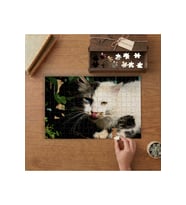 Yeşil Mavi Gözlü Beyaz Kedi Tasarımı 240 parça Ahşap Puzzle Ahşap Kutuda MP02930