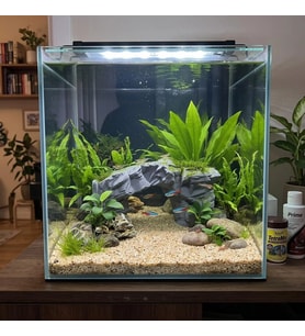 3D PETG Akvaryum Kaya Taş Köprü Dekoru Batabilen Süs KP3D20113