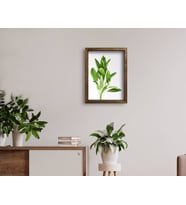 BK Home Doğal Masif Ahşap Çerçeveli Tablo 45x65cm-5