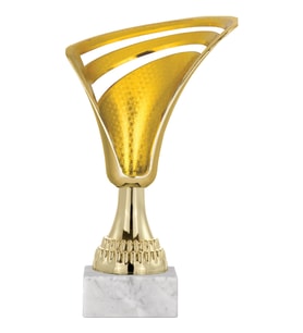 ODAK KUPA - Genel Kupalar - GN-021 A - 21 cm