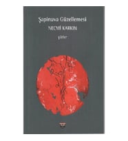 Şapinuva Güzellemesi