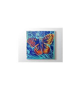 DBSanatevi Andy Warhol - Silverspot Butterfly Tablo 70 X 70 Cm