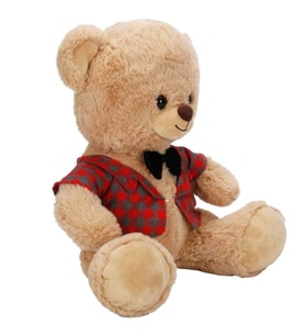 4810 PELUŞ AYI ELBİSELİ 32CM 2A