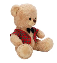 4810 PELUŞ AYI ELBİSELİ 32CM 2A