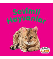 Sevimli Hayvanlar - Mini Karton Kitaplar
