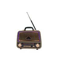 RT-770 LEDLİ BLUETOOTH USB SD FM TF AUX ŞARJLI BAKIR MODERN RADYO