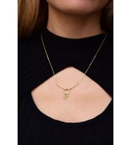 925 Ayar Gümüş Gold Kaplama Kristal M Harfli Düğüm Kolye