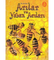 İlk Okuma - Arılar ve Yaban Arıları